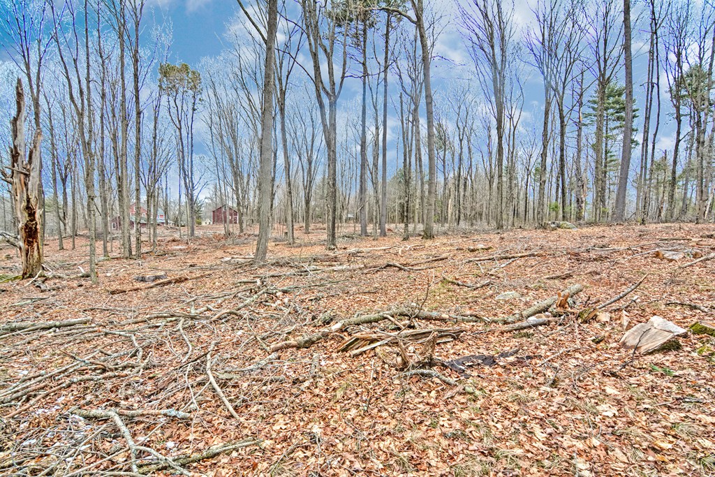 0 Warren Road Brimfield, MA 01010 - Photo 1 of 2