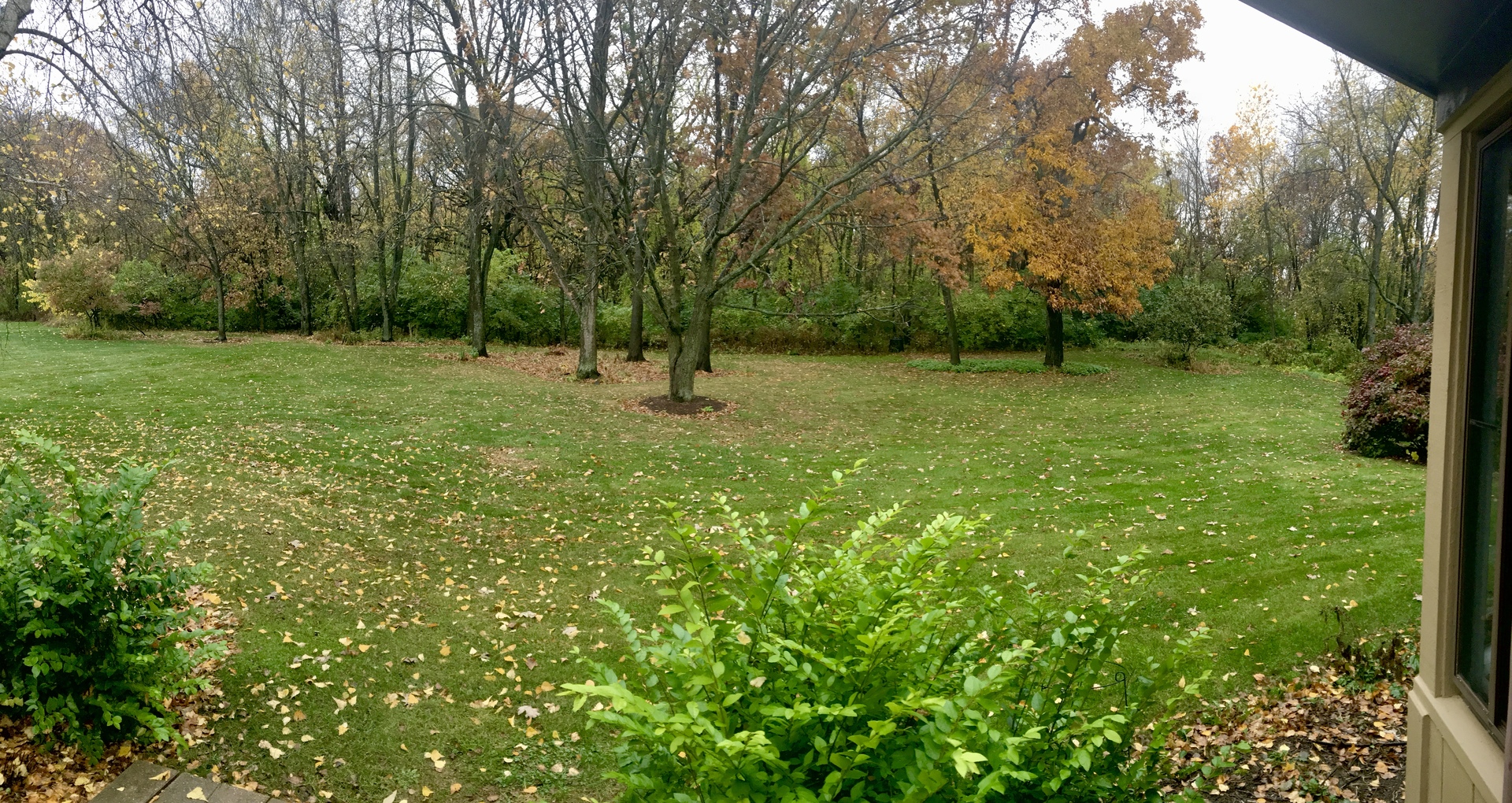 6N770 Splitrail Lane St. Charles, IL 60175 - Photo 33 of 34