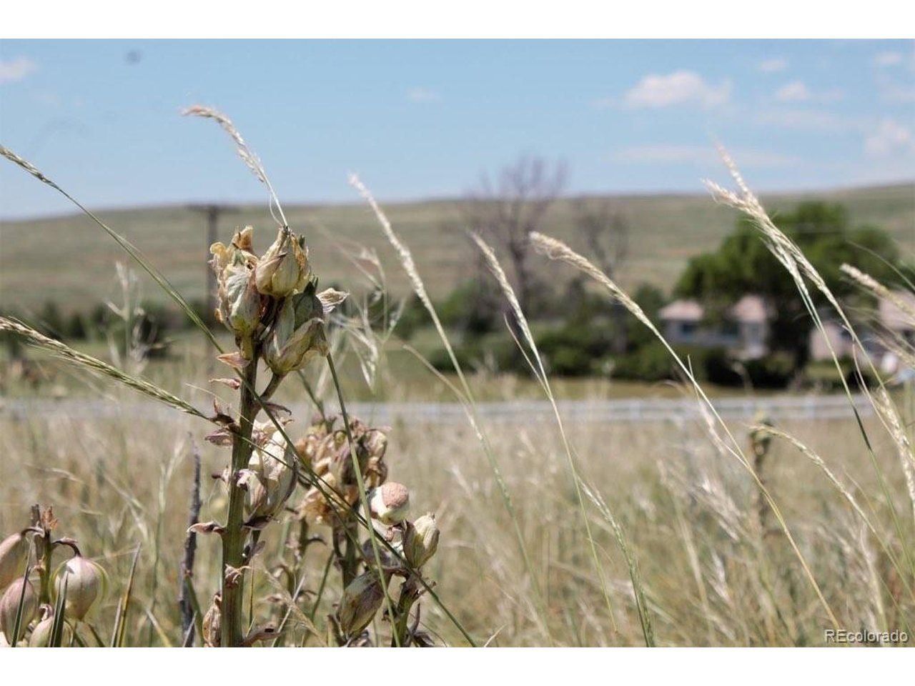 4 McClelland Road Peyton, CO 80831 - Photo 5 of 15