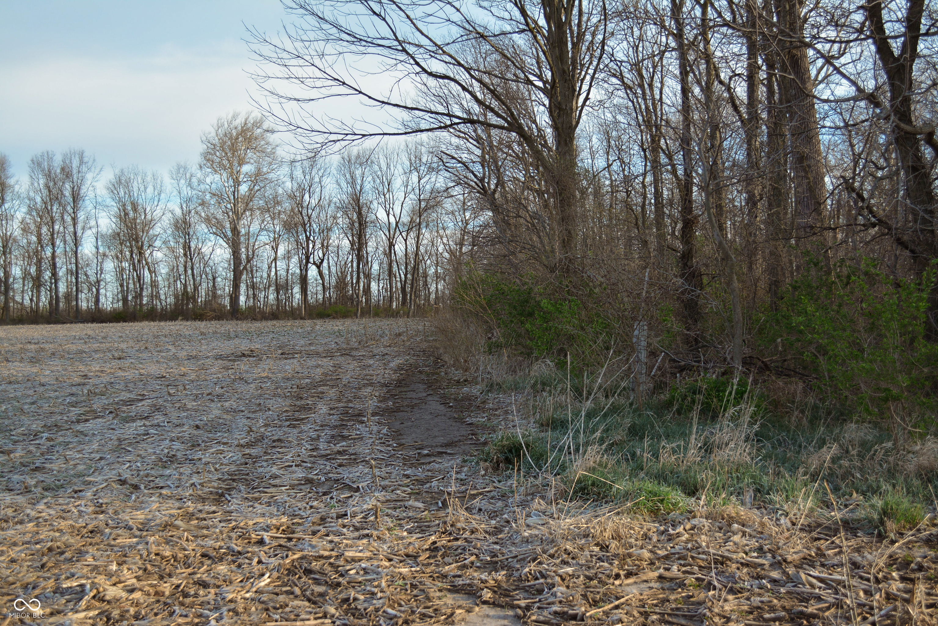 0 County Road 50 E Road Lizton, IN 46149 - Photo 36 of 49