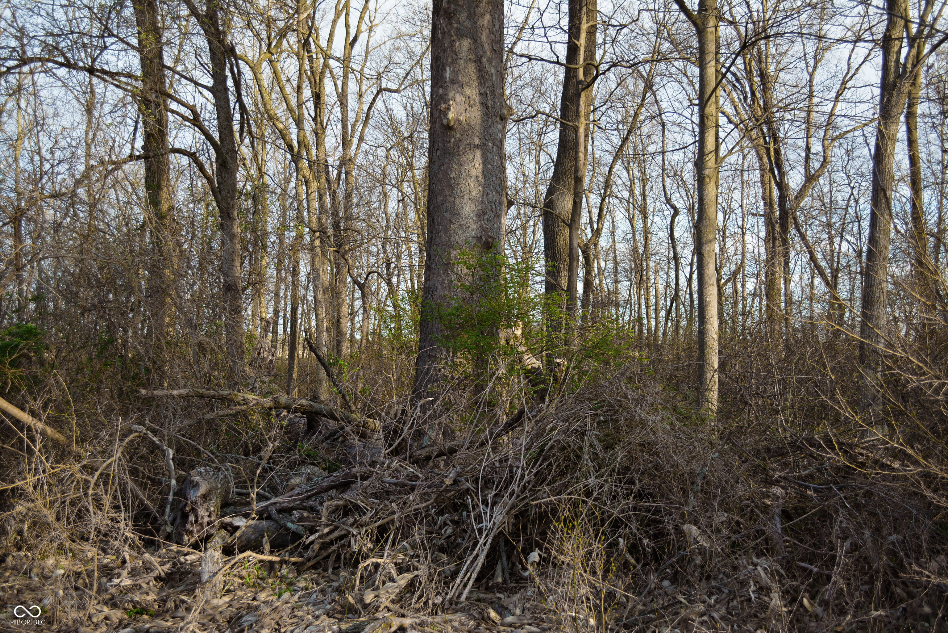 0 County Road 50 E Road Lizton, IN 46149 - Photo 41 of 49