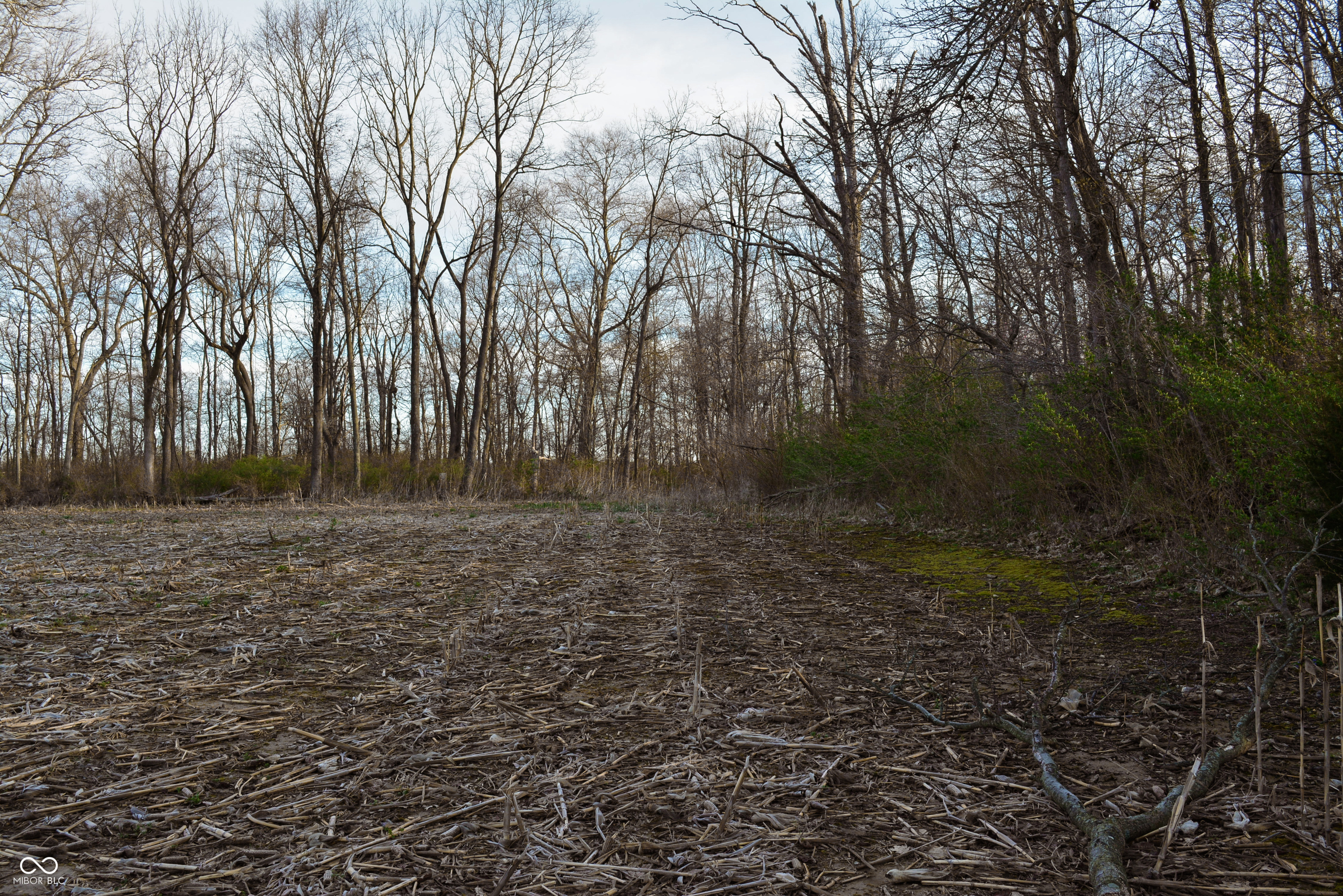 0 County Road 50 E Road Lizton, IN 46149 - Photo 43 of 49