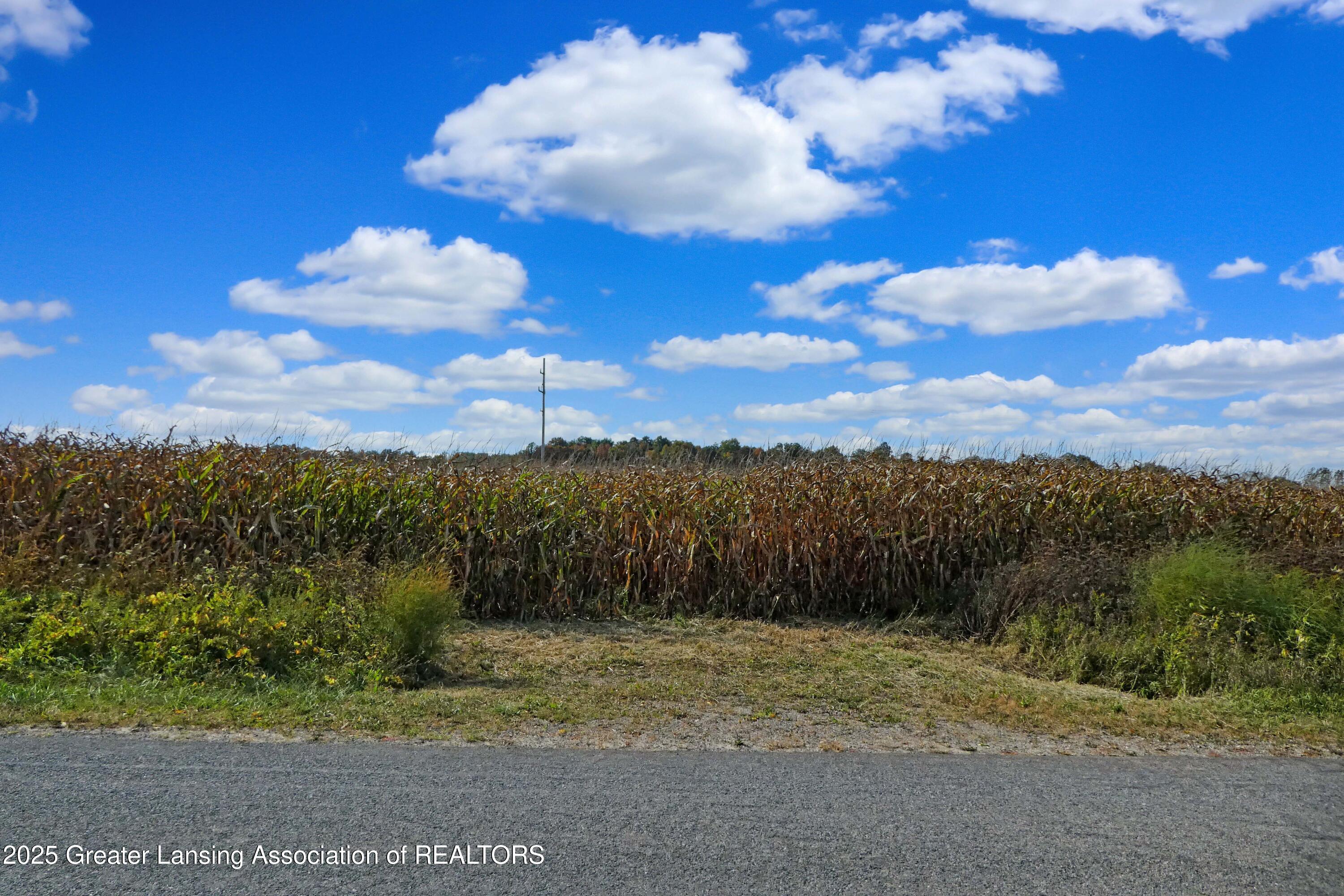 0 North Wellman Road Woodland, MI 48897 - Photo 1 of 18 Wellman 20 Acres