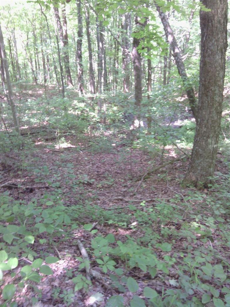 0 Buzzard Rock Road McKee, KY 40447 - Photo 10 of 15 Photo 10
