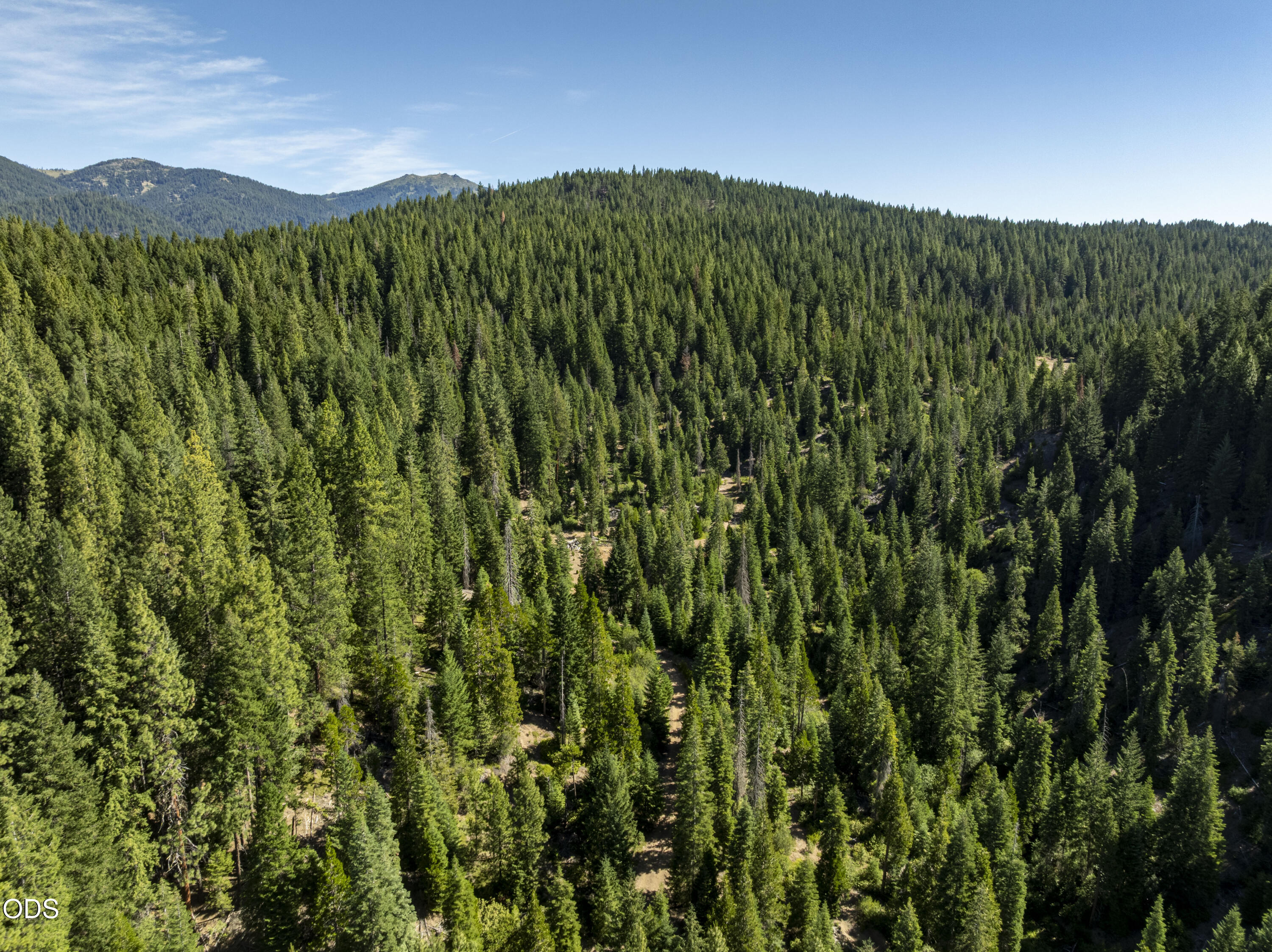 0 Hungry Ridge Ashland, OR 97520 - Photo 40 of 55