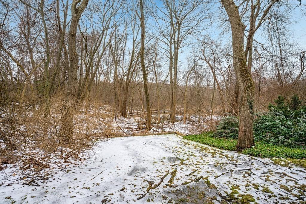 18 Leonard Road Framingham, MA 01701 - Photo 31 of 42 Gallery Image 31