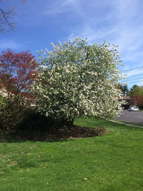 18 Leonard Road Framingham, MA 01701 - Photo 41 of 42 Gallery Image 41