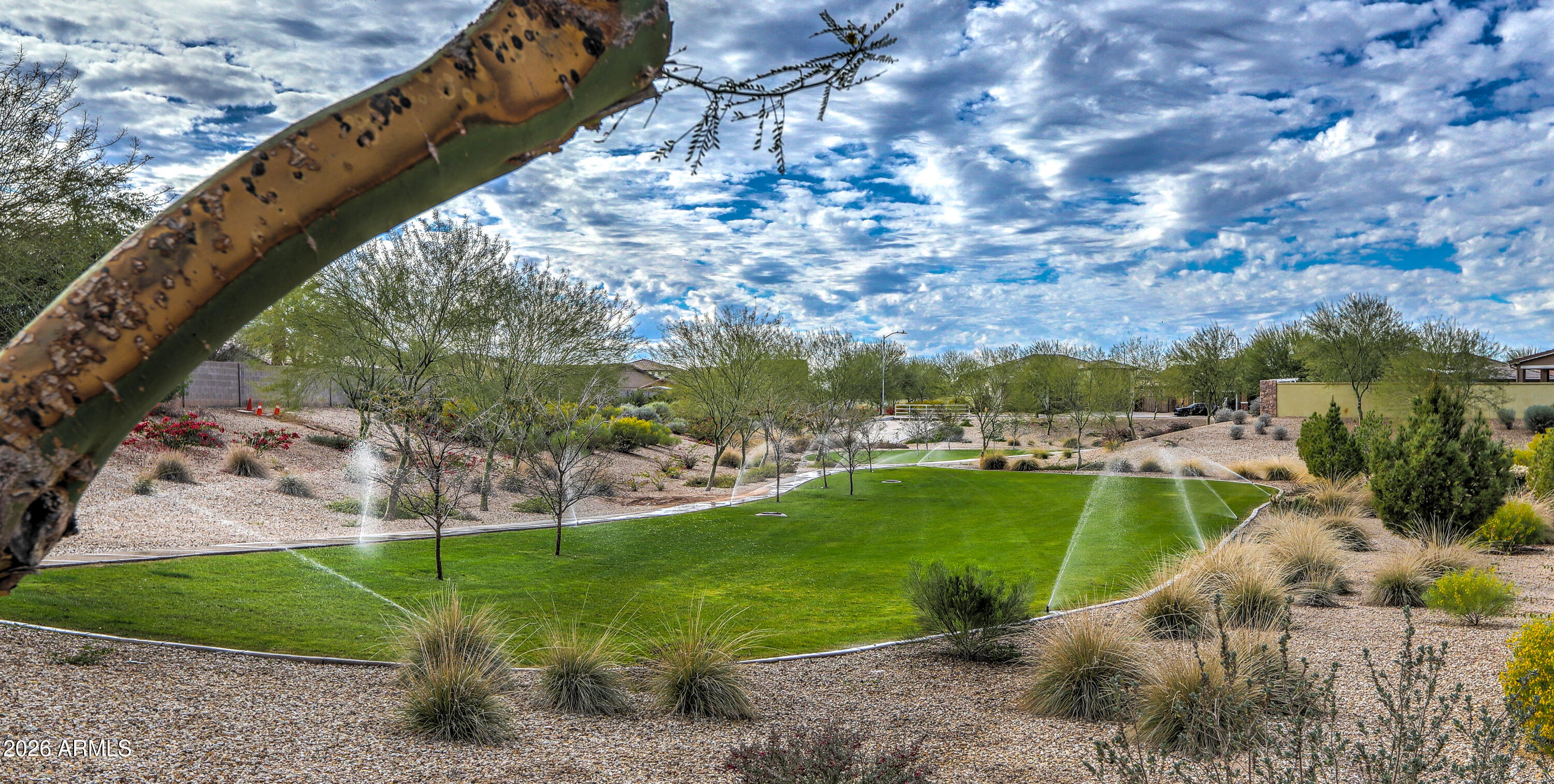 7727 West Agora Lane Phoenix, AZ 85043 - Photo 5 of 46 a view of a garden with a lake