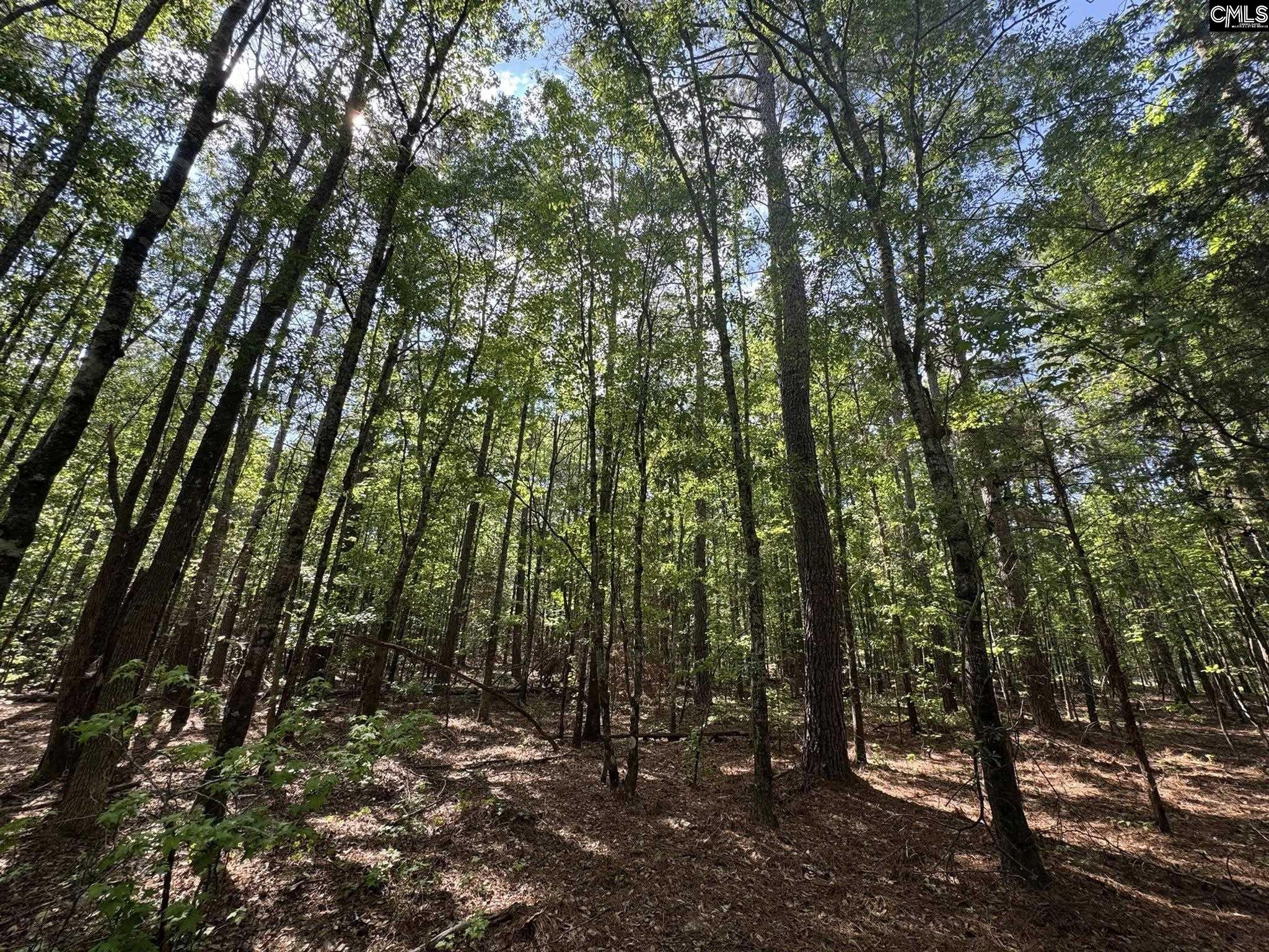 76 West W Highway Honea Path, SC 29654 - Photo 26 of 35