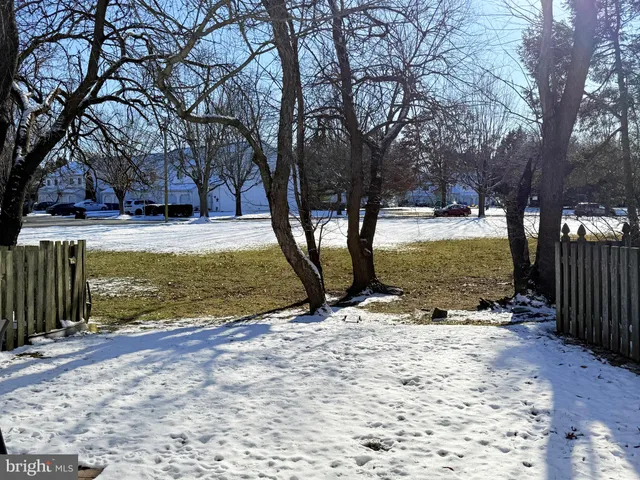 a view of open space with trees