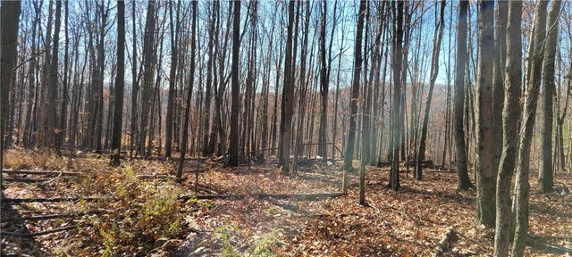 $54,500 | Hagerman Road, Waverly, NY 14892