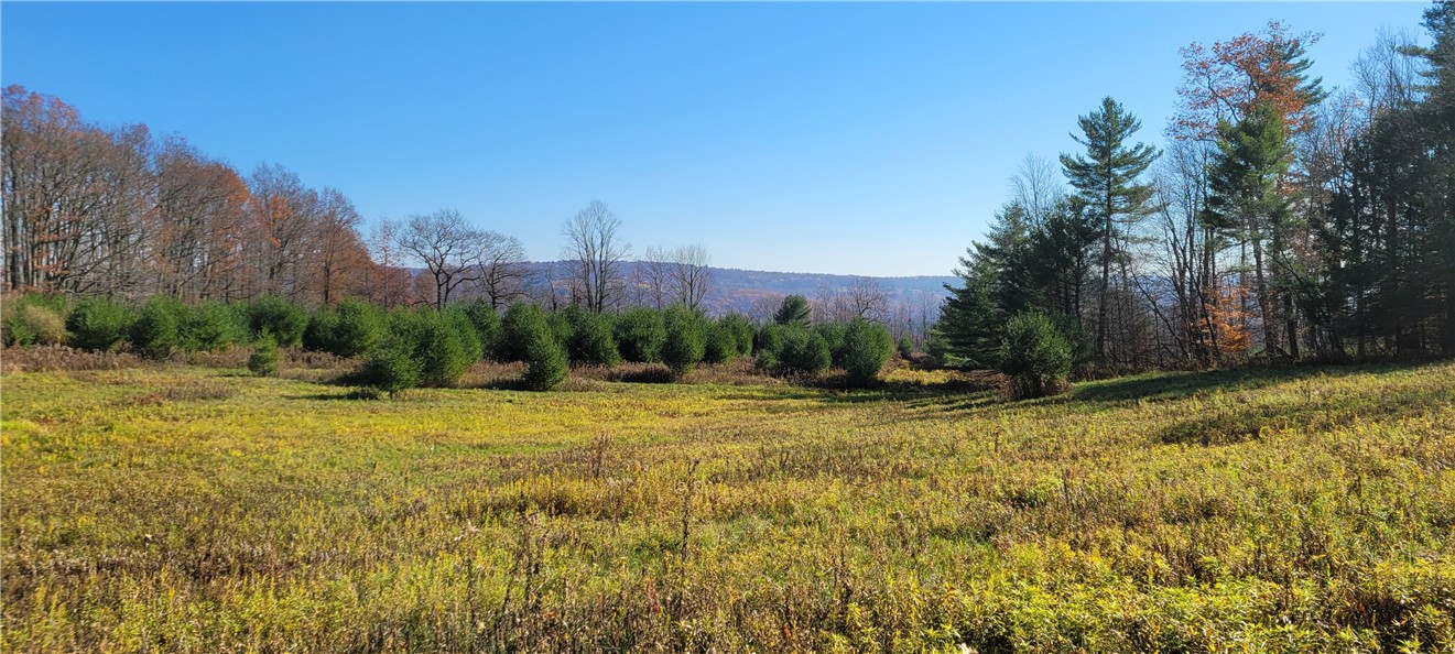 Hagerman Road Waverly, NY 14892 - Photo 3 of 7