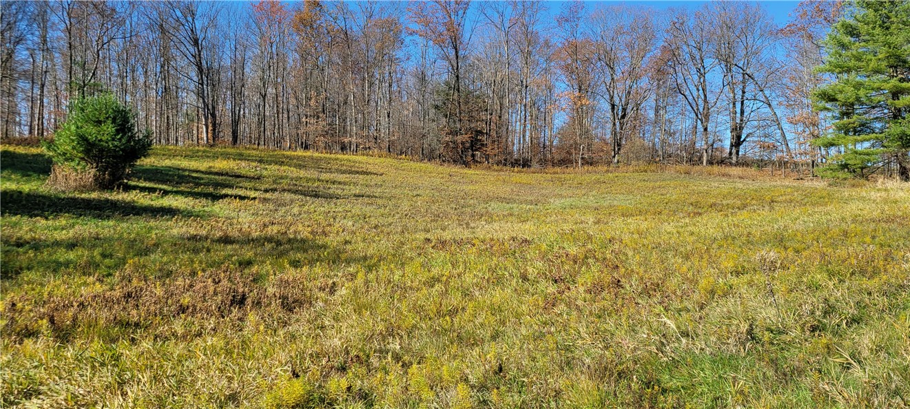 Hagerman Road Waverly, NY 14892 - Photo 4 of 7