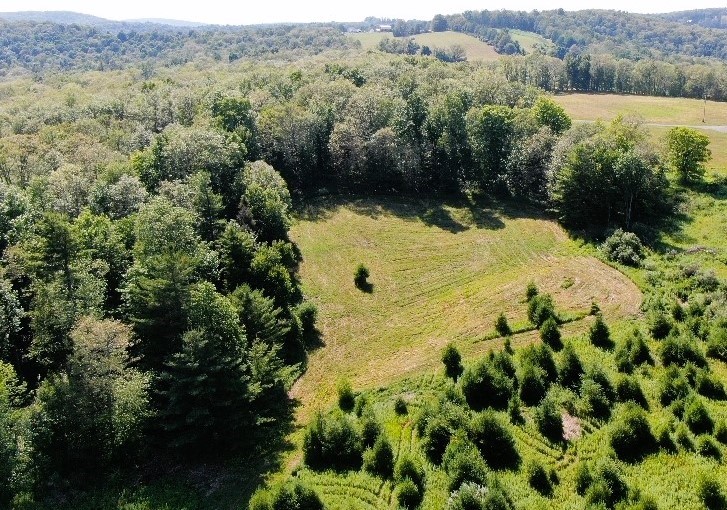 Hagerman Road Waverly, NY 14892 - Photo 6 of 7