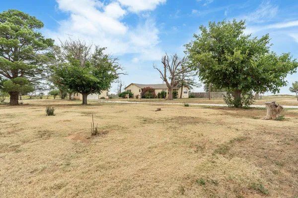 a view of yard with trees