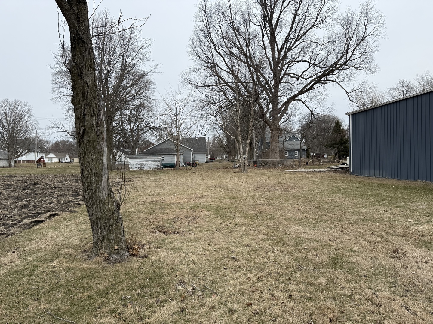 400 East 3rd Street Brocton, IL 61917 - Photo 47 of 54 a view of a yard with a tree