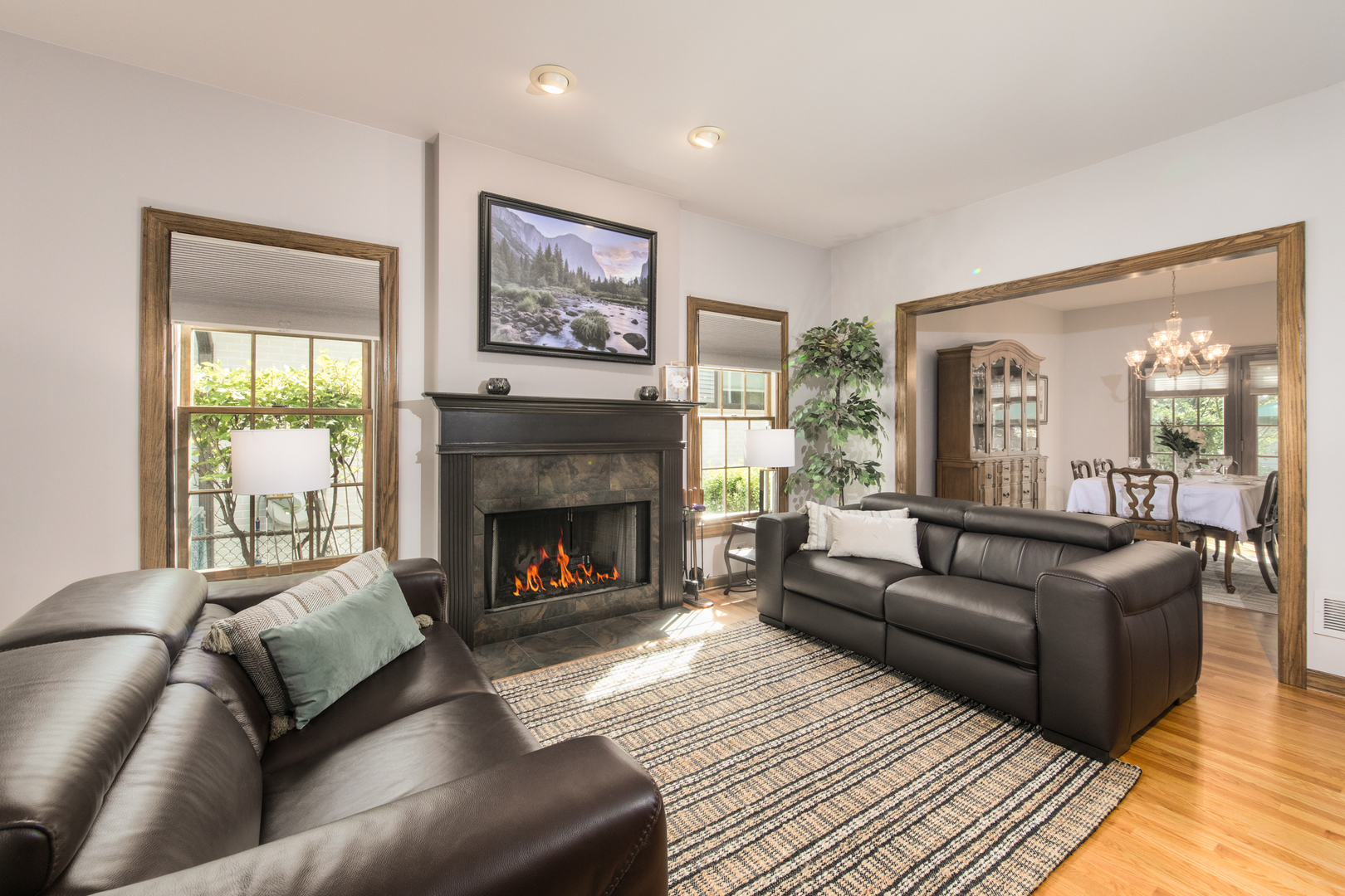 408 North Seminary Avenue Park Ridge, IL 60068 - Photo 4 of 26 a living room with furniture and a fireplace