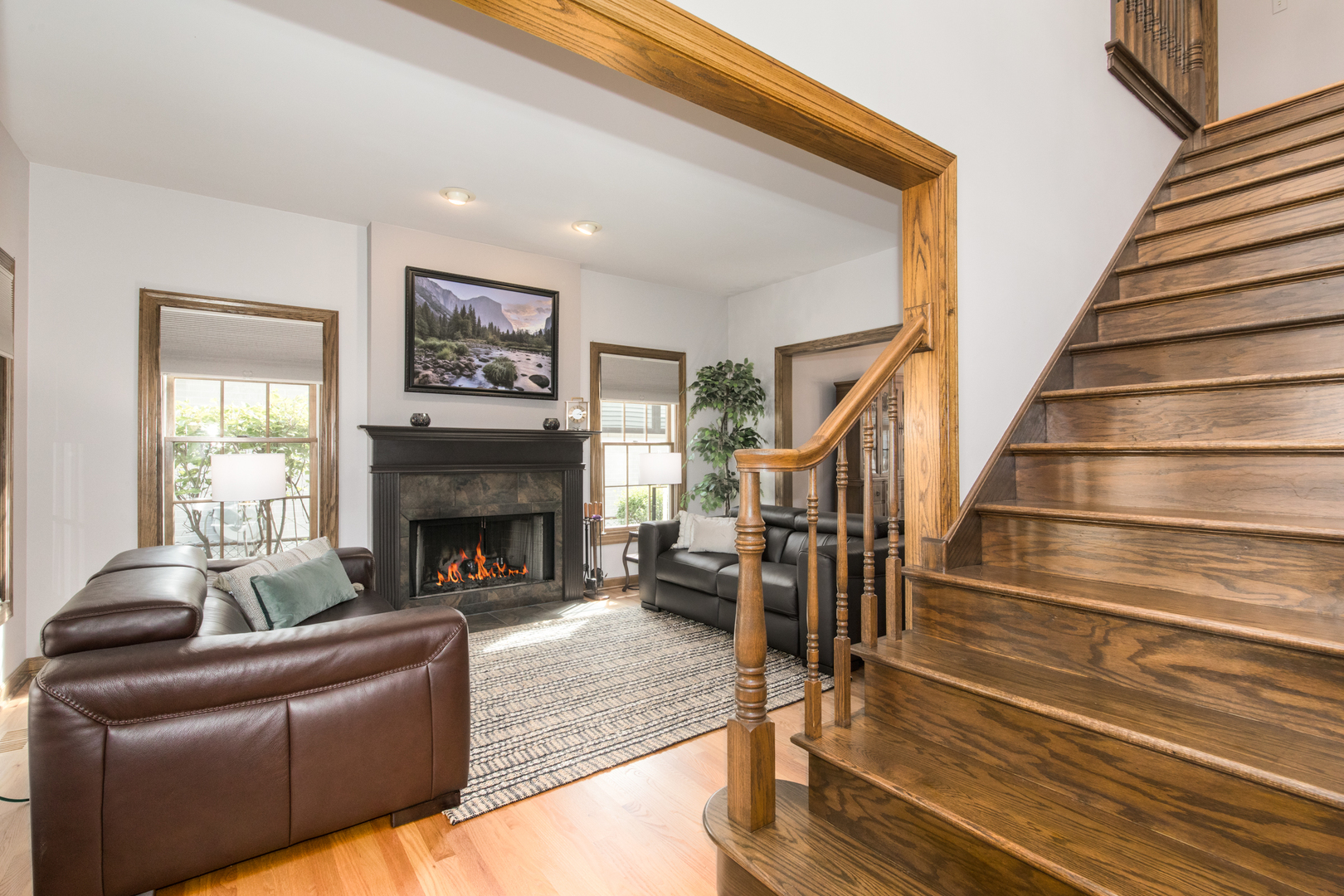 408 North Seminary Avenue Park Ridge, IL 60068 - Photo 5 of 26 a living room with furniture and a fireplace