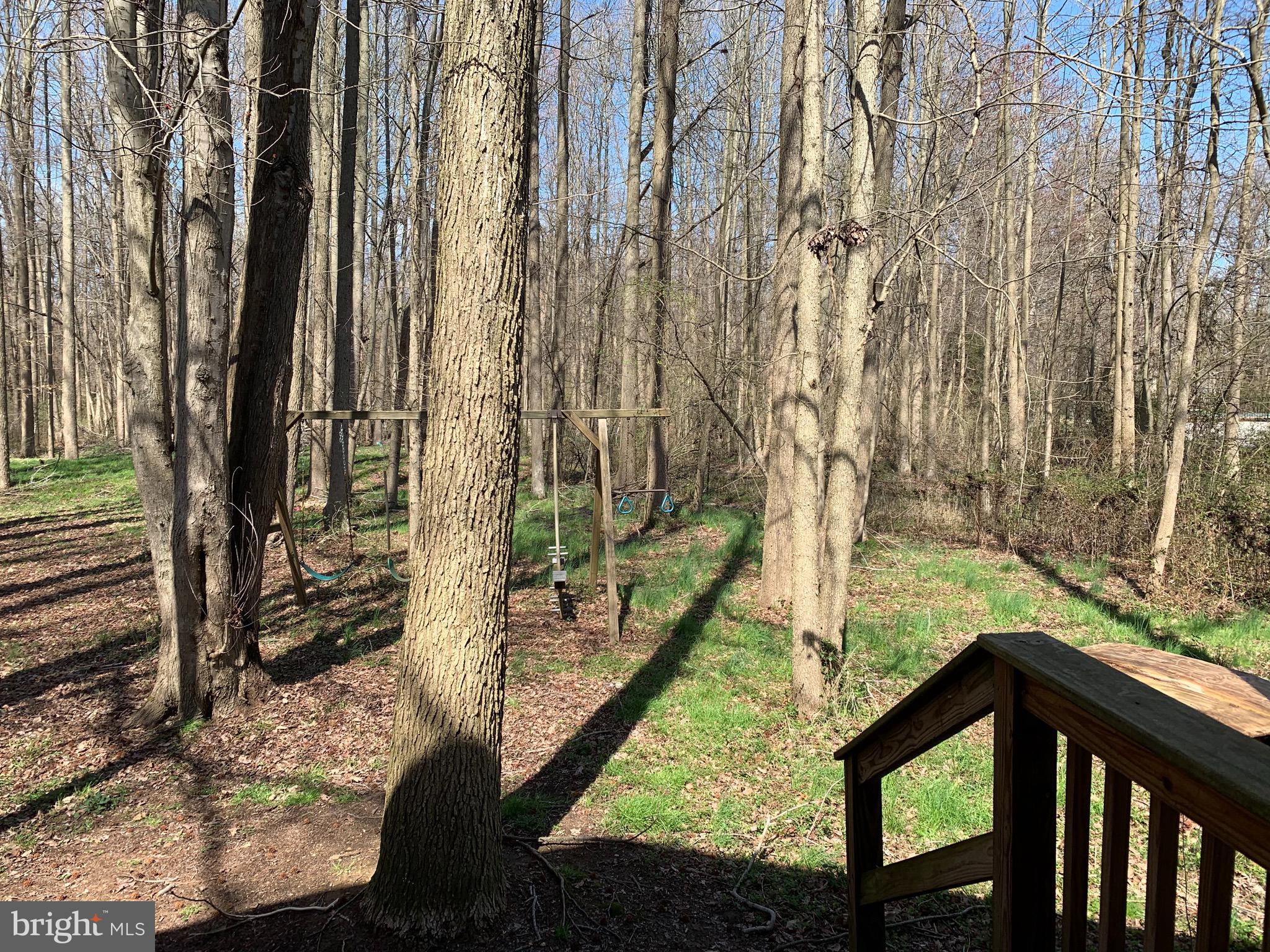 120 Lums Pond Road Bear, DE 19701 - Photo 23 of 28 Very private wooded back yard.