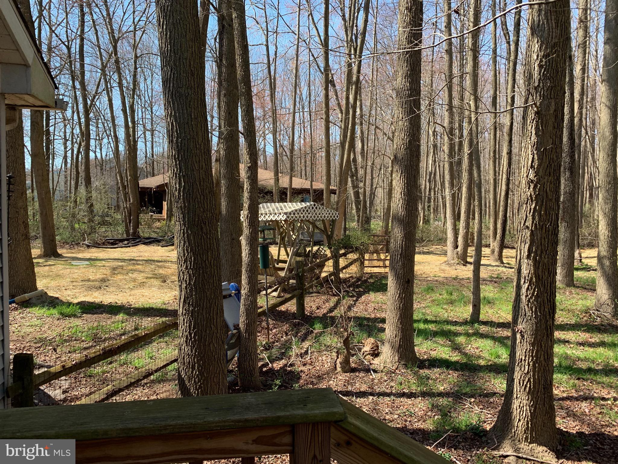 120 Lums Pond Road Bear, DE 19701 - Photo 24 of 28 View from pool room toward side yard.