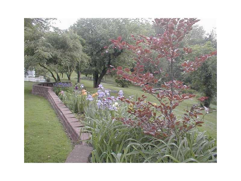 4161 Bakerstown Road Gibsonia, PA 15044 - Photo 16 of 23 Yard/Garden.