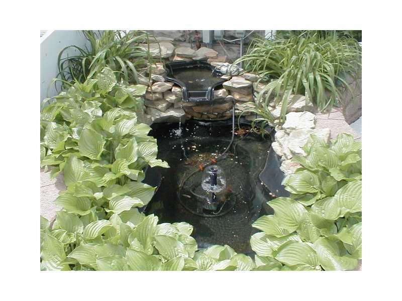 4161 Bakerstown Road Gibsonia, PA 15044 - Photo 18 of 23 Yard/Garden.