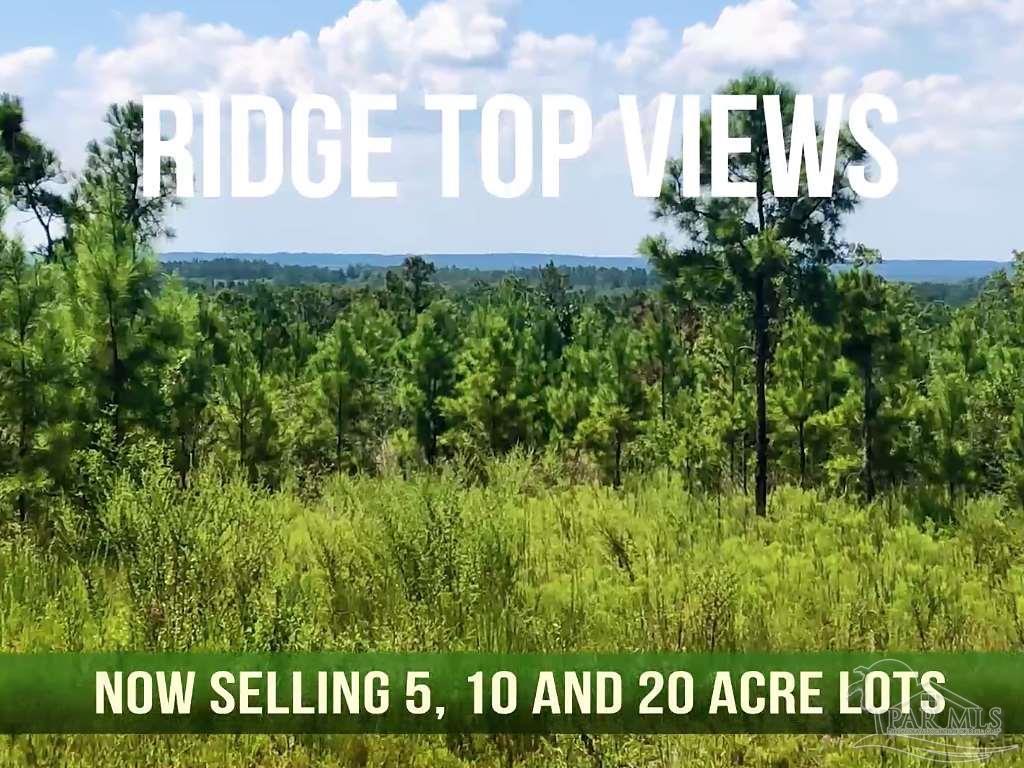 Lot 6-bs Buffalo Ridge Road Milton, FL 32571 - Photo 13 of 15