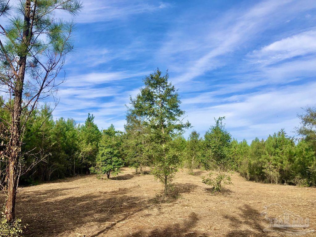 Lot 6-bs Buffalo Ridge Road Milton, FL 32571 - Photo 10 of 15