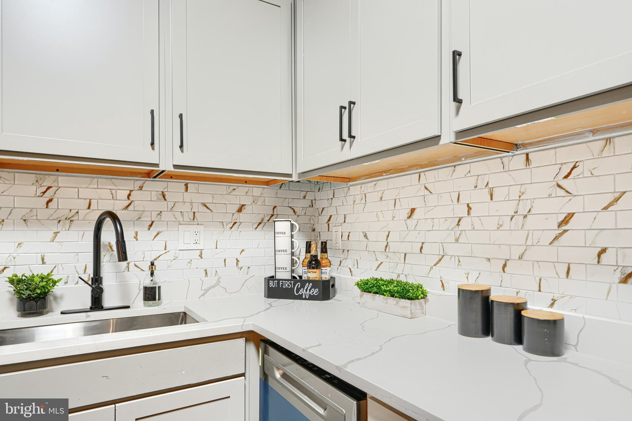 717 East Biddle Street Baltimore, MD 21202 - Photo 20 of 47 a kitchen with a sink and a potted plant on the granite countertops
