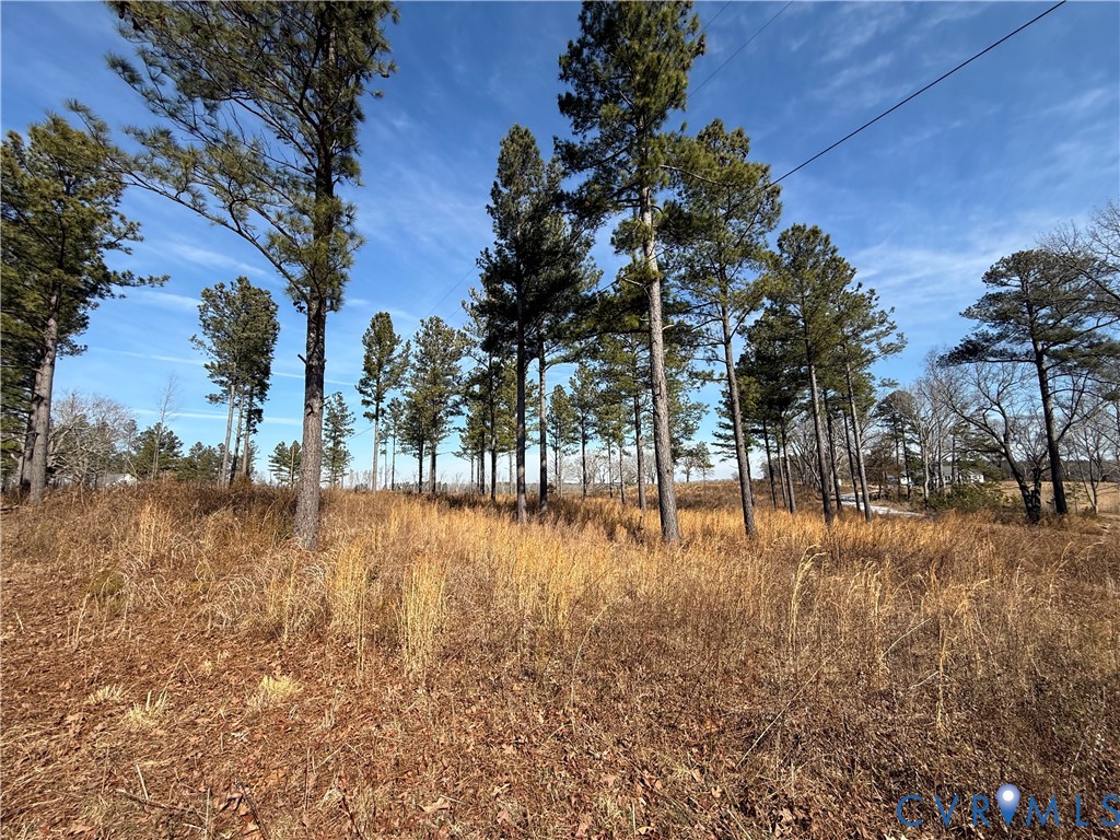 Tbd Wilson Road Brodnax, VA 23920 - Photo 16 of 17 a view of dirt yard with a large tree