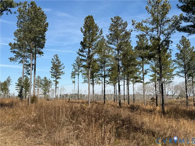 $374,900 | Tbd Wilson Road, Brodnax, VA 23920