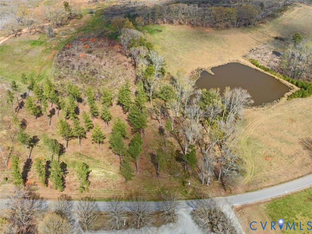 Tbd Wilson Road Brodnax, VA 23920 - Photo 3 of 15