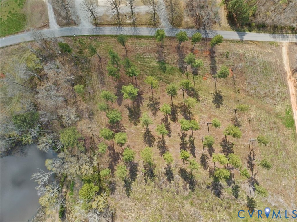 Tbd Wilson Road Brodnax, VA 23920 - Photo 4 of 15