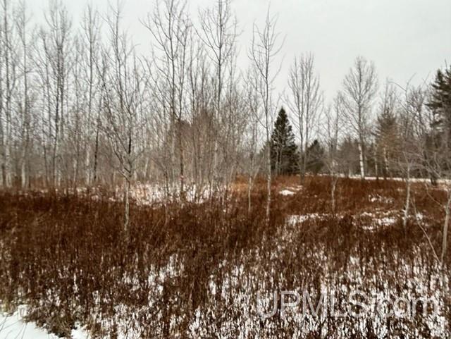 Tbd5 Larson Road Atlantic Mine, MI 49905 - Photo 29 of 56 Gallery Image 29