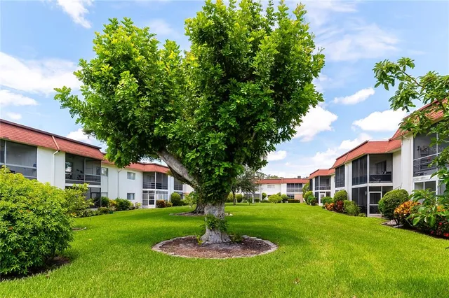 a view of a house with a backyard