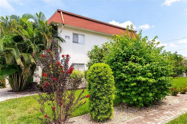 a view of a house with a yard plants and a large tree