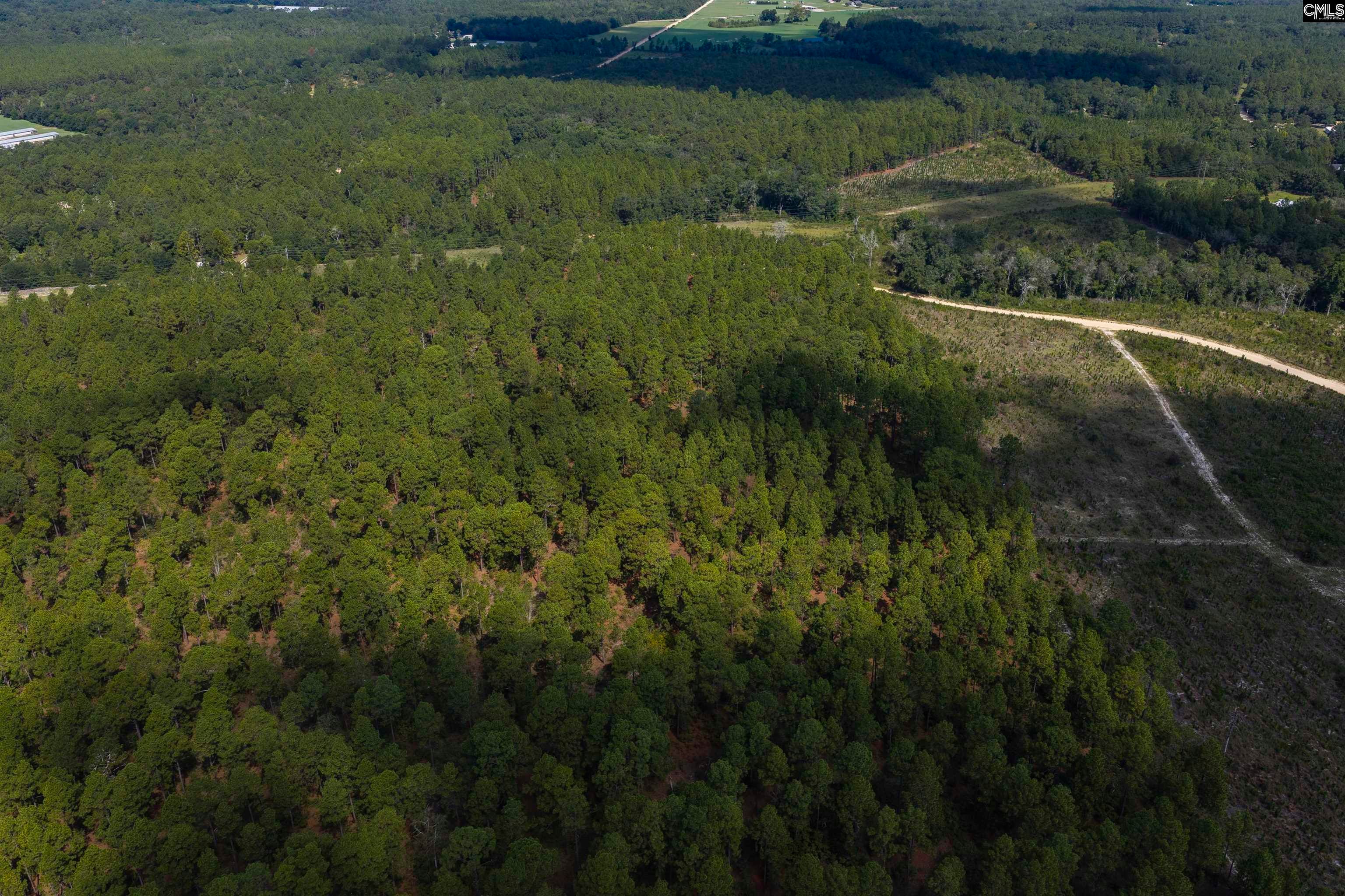 Tbd Gantt Mill Road, Unit PARCEL 3 Leesville, SC 29070 - Photo 13 of 16 Gallery Image 13