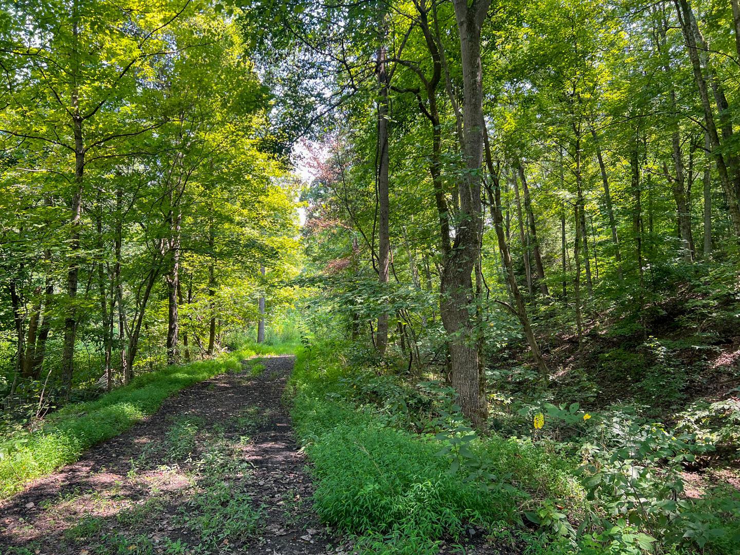 603 Fairgreens Road Jackson, OH 45640 - Photo 25 of 29 Fairgreens Road-20