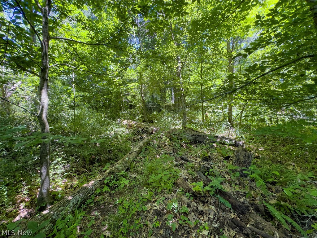 0 Long Hollow Road Pomeroy, OH 45769 - Photo 8 of 31