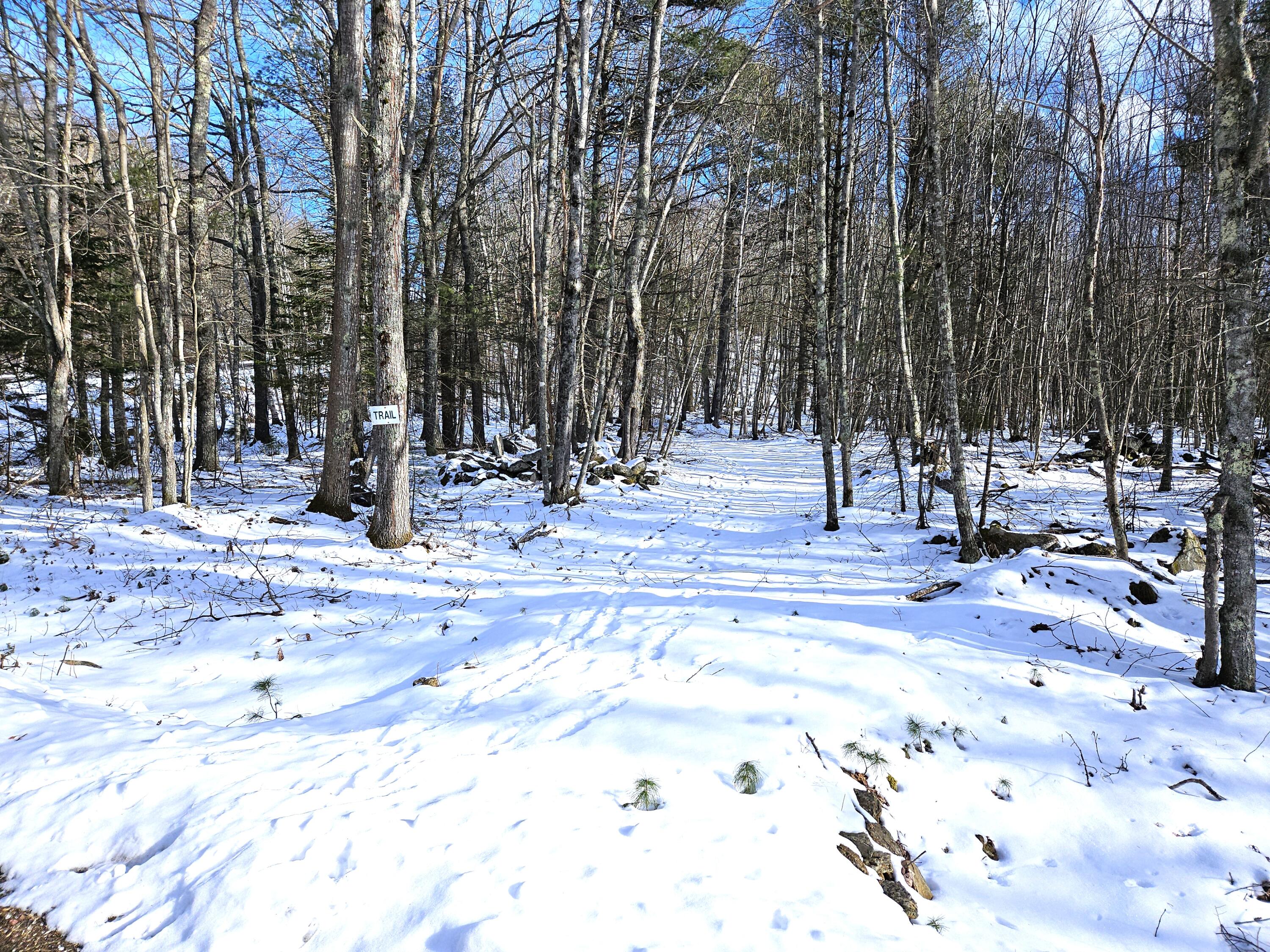 8 Juniper Ridge Road Georgetown, ME 04548 - Photo 97 of 99 20240221_144558