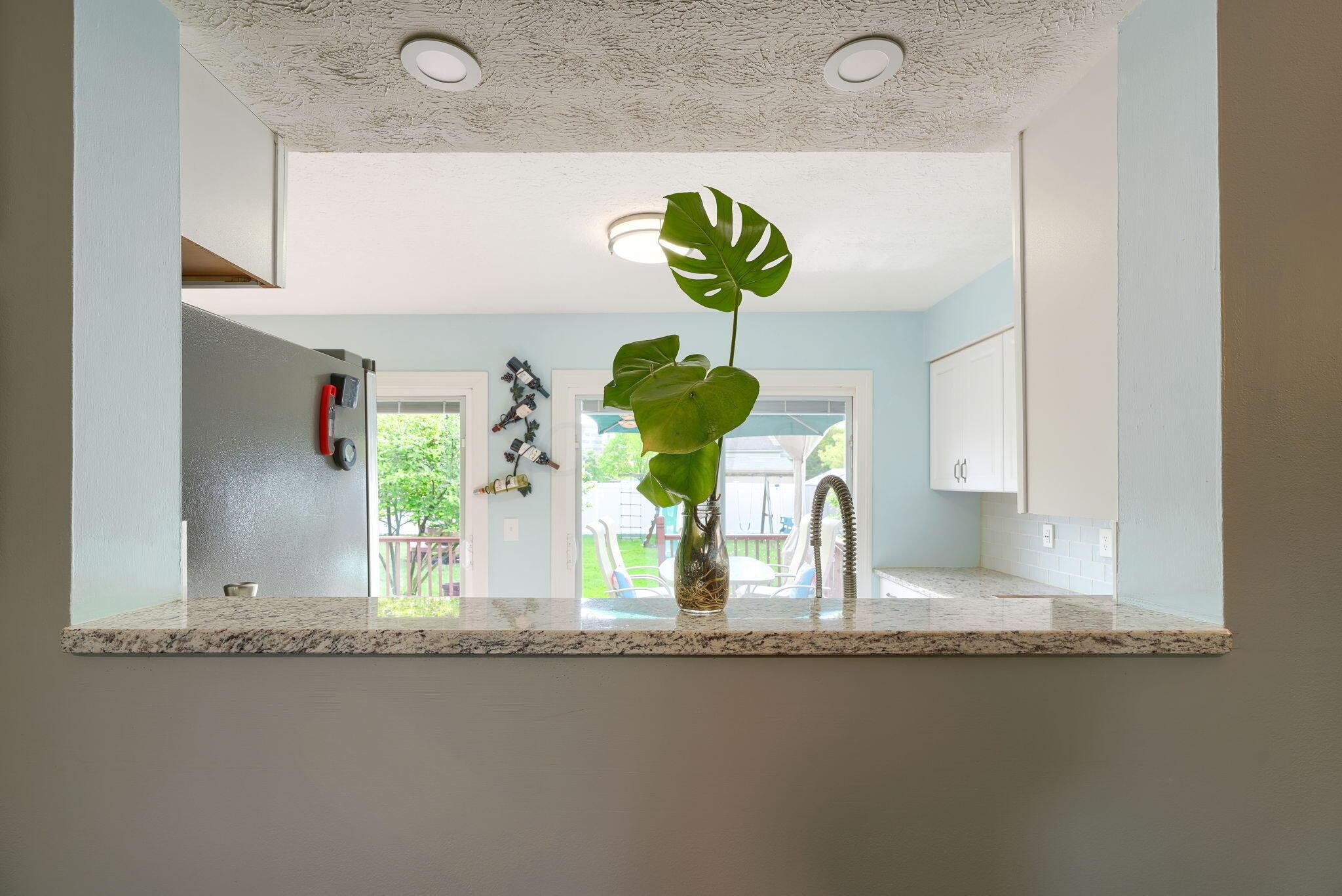 5389 Spring Hill Road Grove City, OH 43123 - Photo 10 of 40 Kitchen