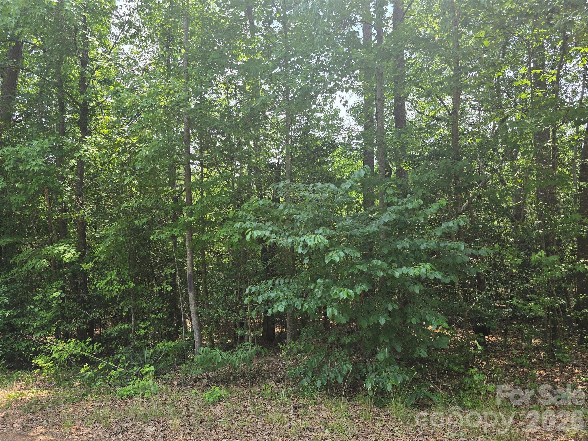 385 Dennis Road Troy, NC 27371 - Photo 3 of 4