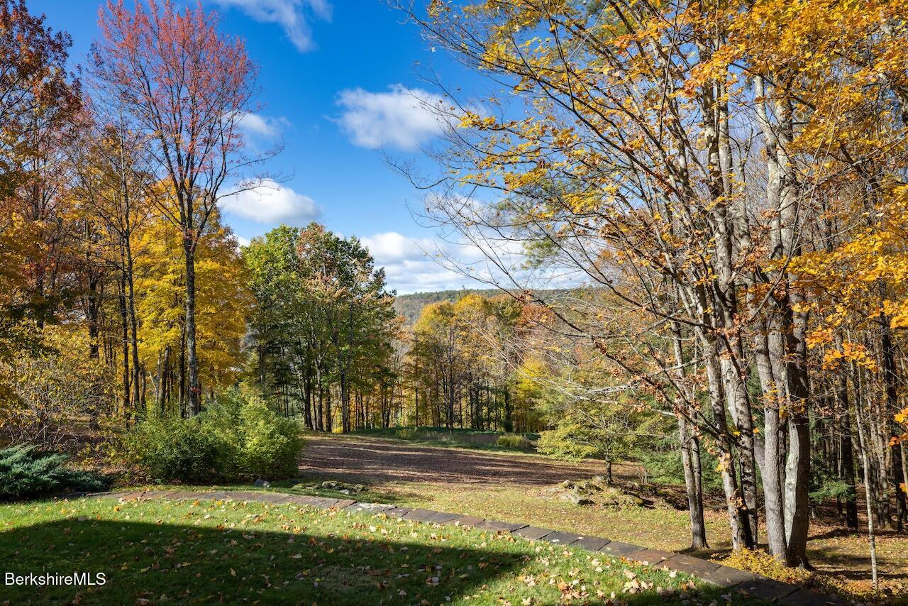 50 E Road Alford, MA 01266 - Photo 46 of 60 a view of yard with green space