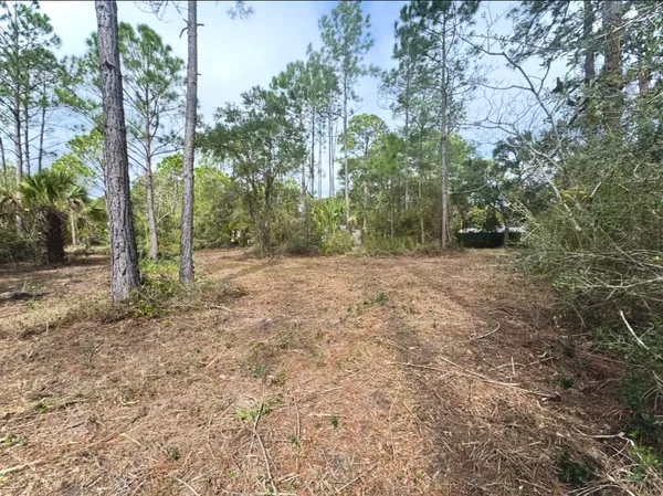 $185,000 | 1-2 Chattahoochee Street, Panacea, FL 32346