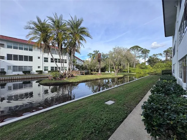 a view of a lake with a houses yard and palm trees