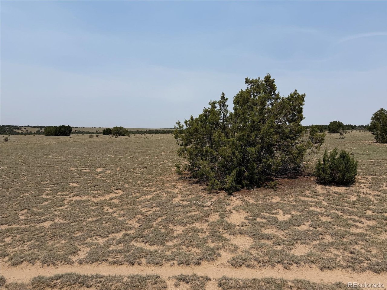 167 Tyrone Hills Ranch Walsenburg, CO 81089 - Photo 9 of 14