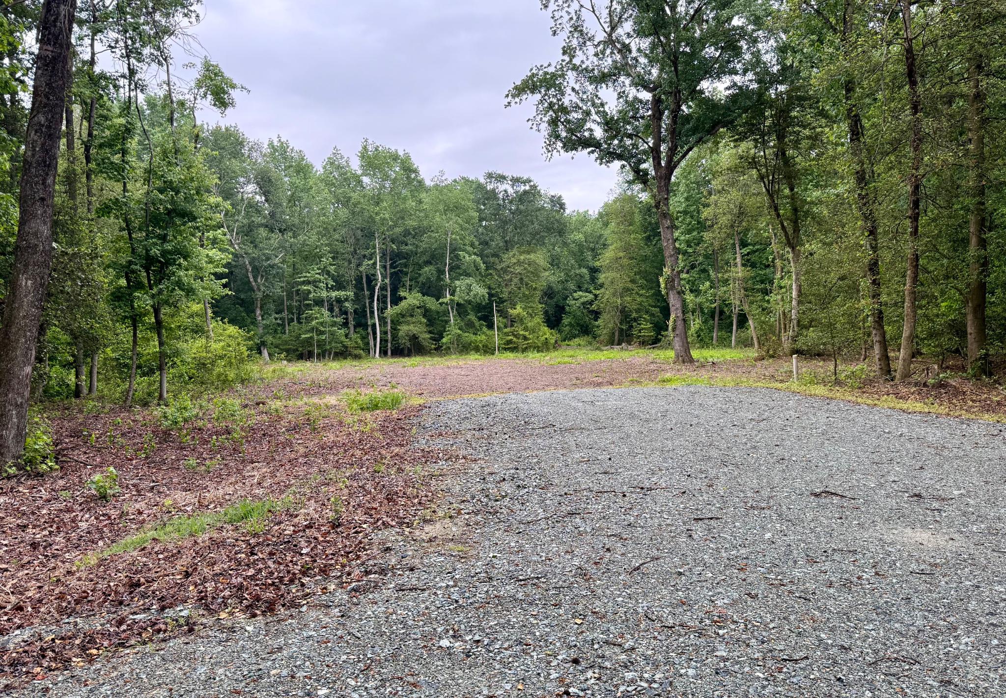 0 Utica Road, Unit PARCEL 4 Greenwood, DE 19950 - Photo 5 of 8 a view of basketball ground with trees in the background