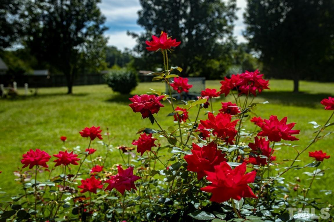 12411 West Old Spring Hope Road Middlesex, NC 27557 - Photo 27 of 28 a view of a flower that is in a yard
