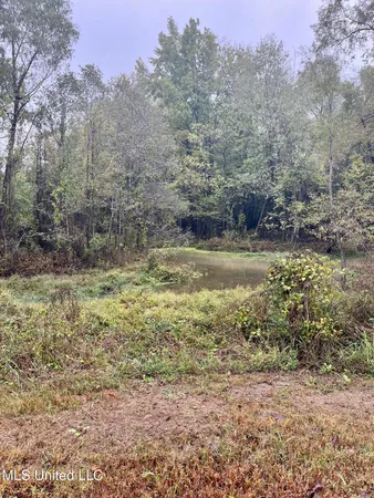 $24,000 | Cotton Street, Marks, MS 38646