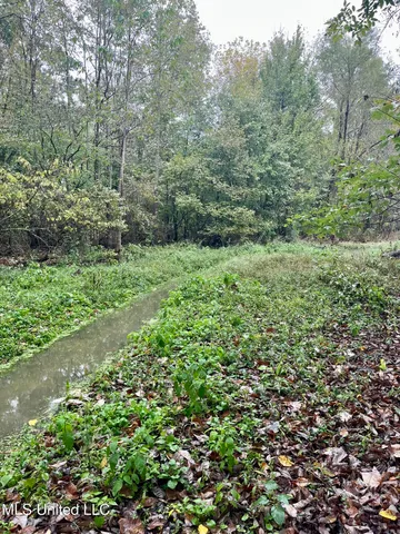 $24,000 | Cotton Street, Marks, MS 38646